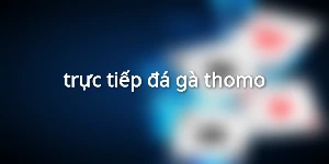 trực tiếp đá gà thomo